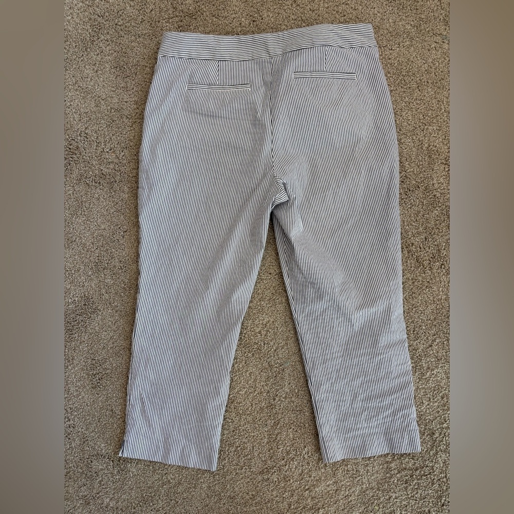 Ann Taylor Factory Women’s Pants - Picture 6 of 6